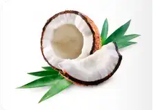 Кокос Куба