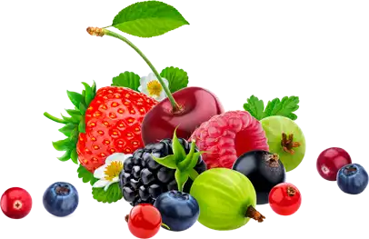 vegetables